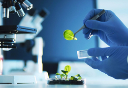 2026第16届济南生物发酵展